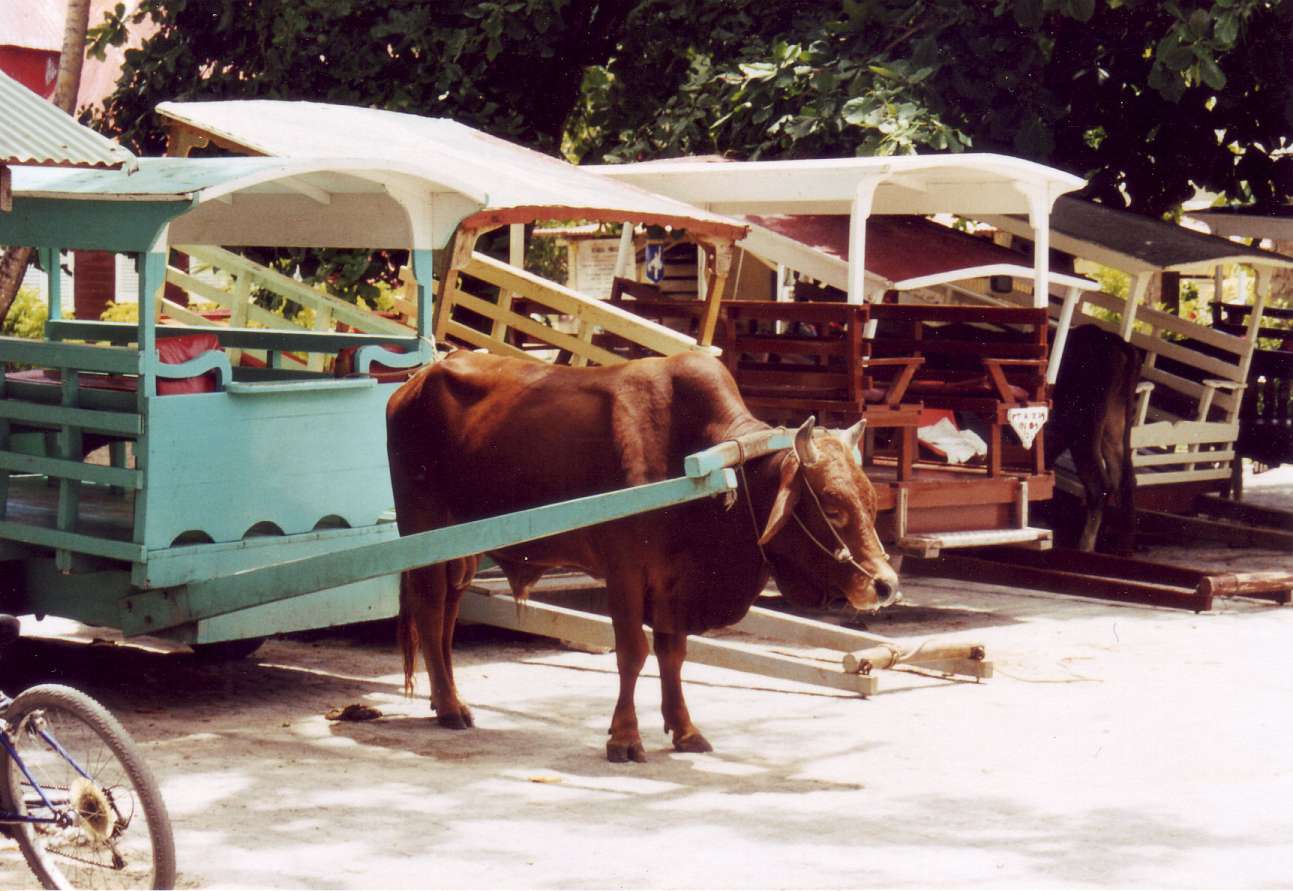 La Digue Ochsenkarren.jpg